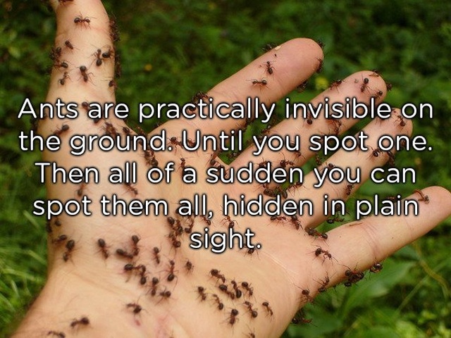 Shower Thoughts (19 pics)