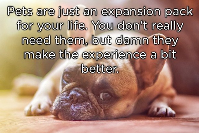 Shower Thoughts (19 pics)