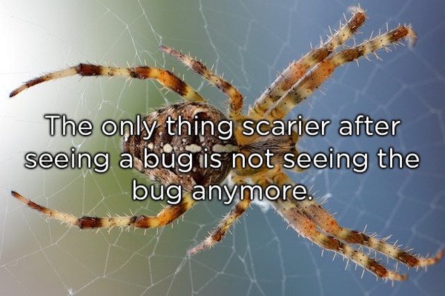 Shower Thoughts (19 pics)