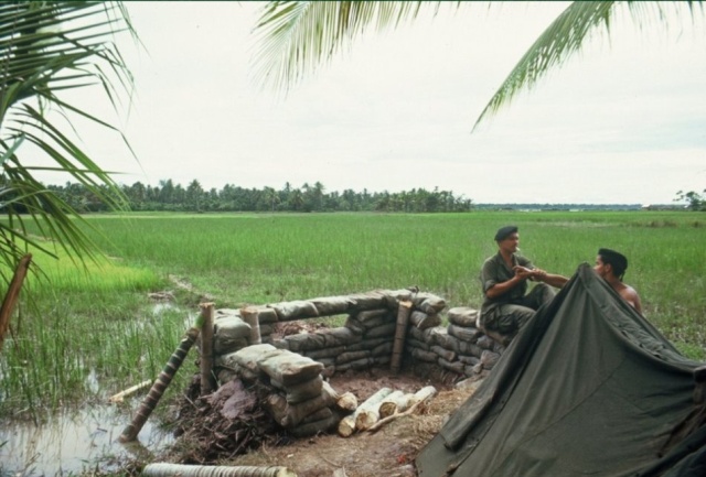 Vietnam War’s Deadly Mekong Delta (30 pics)