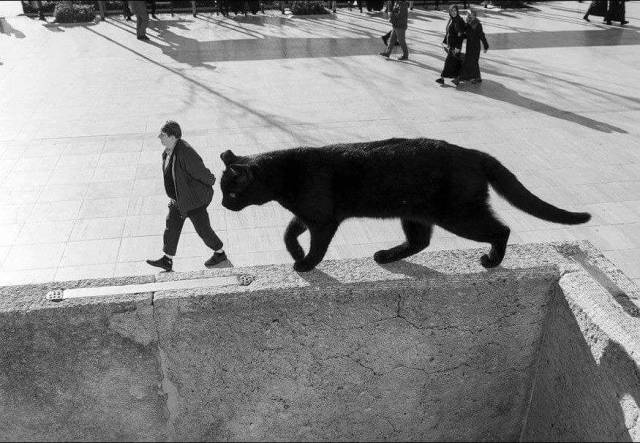 Acid Picdump (98 pics)