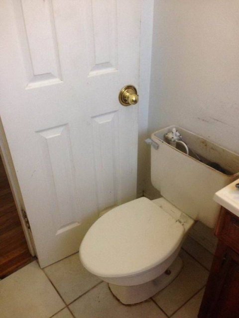 Acid Picdump (98 pics)