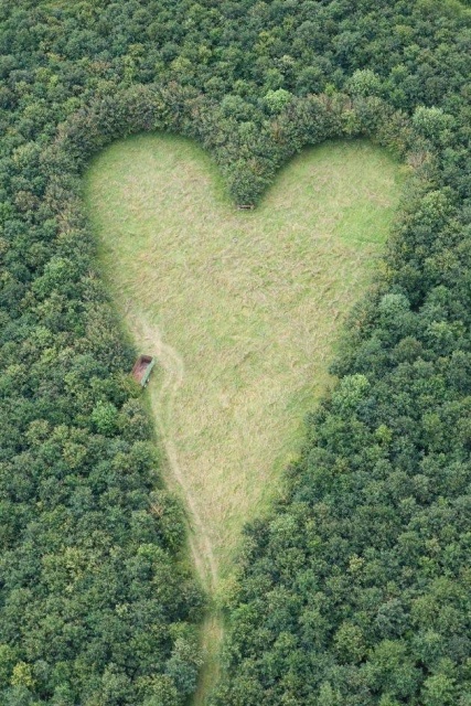 Acid Picdump (98 pics)