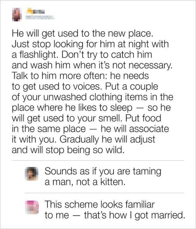 These Comments Are Almost Perfect (22 pics)