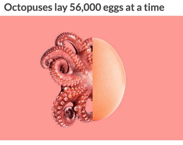 Interesting Facts (12 pics)