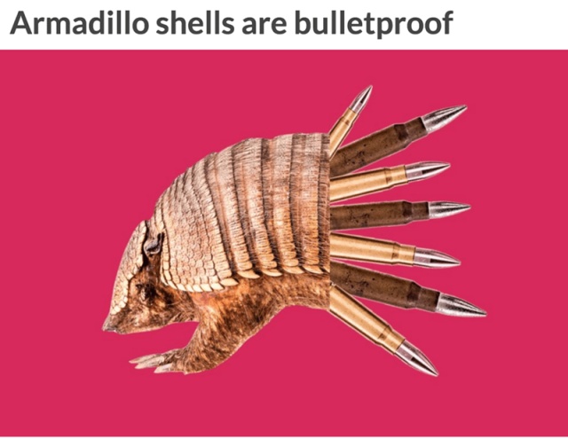 Interesting Facts (12 pics)