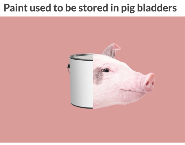 Interesting Facts (12 pics)