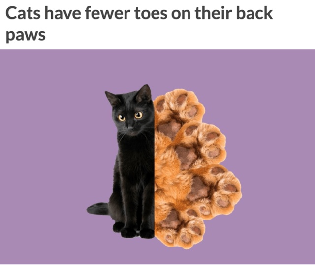 Interesting Facts (12 pics)