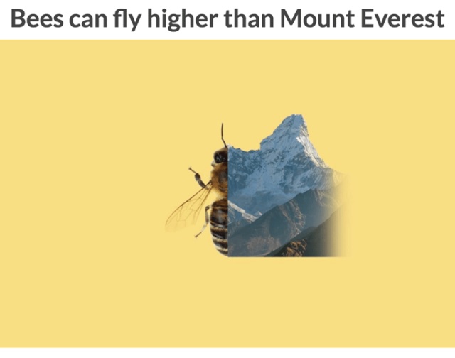 Interesting Facts (12 pics)
