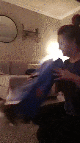Acid Gifdump, October 15, 2018 (25 gifs)