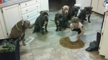 Acid Gifdump, October 15, 2018 (25 gifs)
