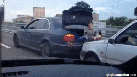 Acid Gifdump, October 15, 2018 (25 gifs)
