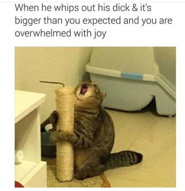 Sex Memes (29 pics)