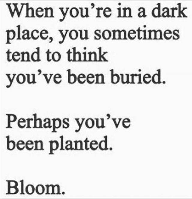 Your Daily Dose Of Motivation (30 pics)