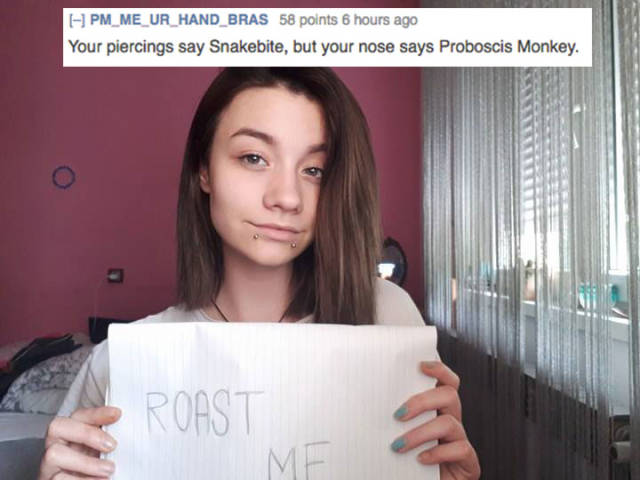 Examples Of Pretty Good Roasts (35 pics)