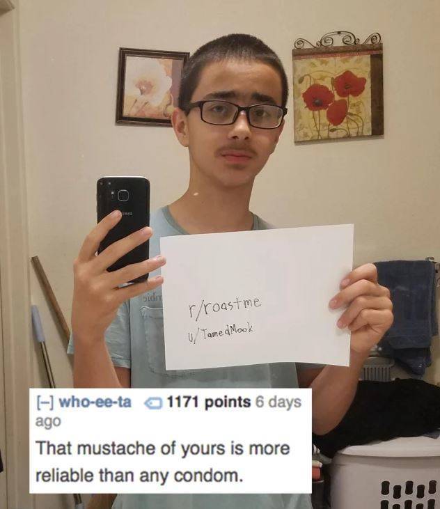 Examples Of Pretty Good Roasts (35 pics)