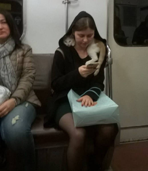 Only In Russia (39 pics)