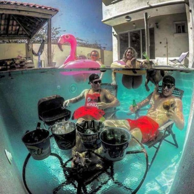 Acid Picdump (106 pics)