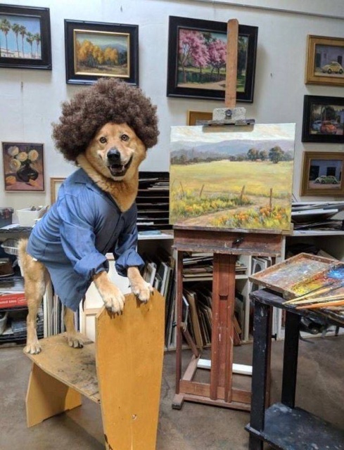 Acid Picdump (106 pics)