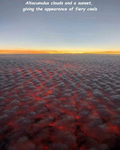 Acid Picdump (106 pics)