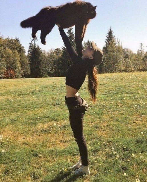 Acid Picdump (106 pics)