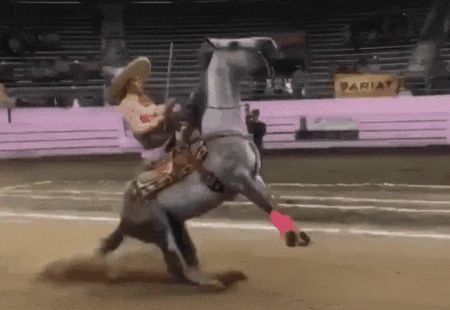 Acid Gifdump, October 16, 2018 (25 gifs)