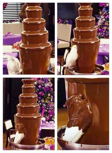 Selection Of Funny Pictures (26 pics)