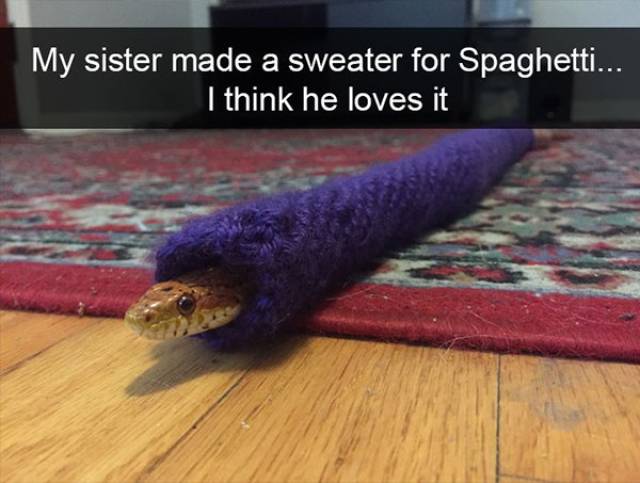 Funny Animal Photos On Snapchat (45 pics)