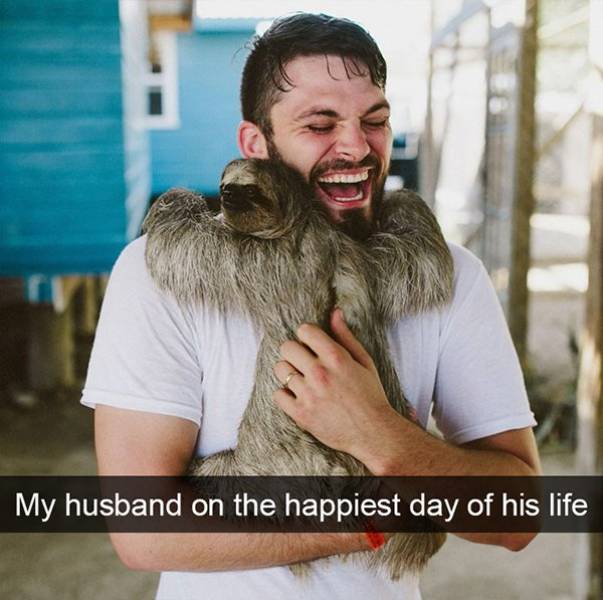 Funny Animal Photos On Snapchat (45 pics)
