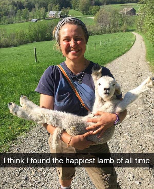 Funny Animal Photos On Snapchat (45 pics)