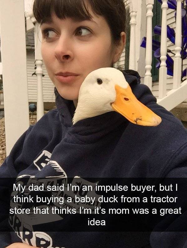 Funny Animal Photos On Snapchat (45 pics)