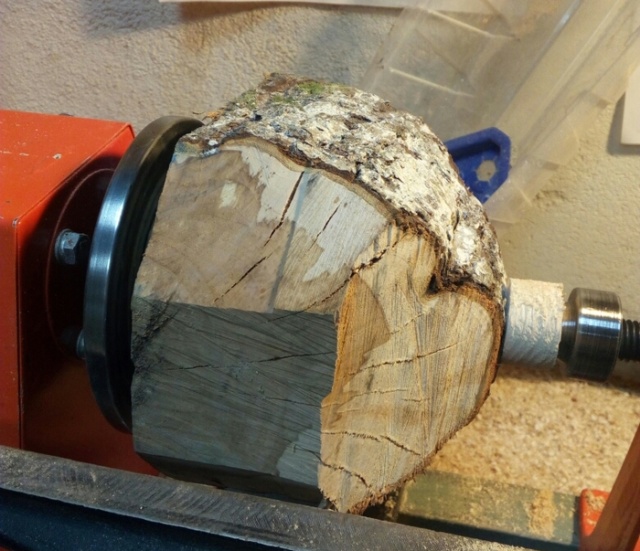 Tree Carving (6 pics)
