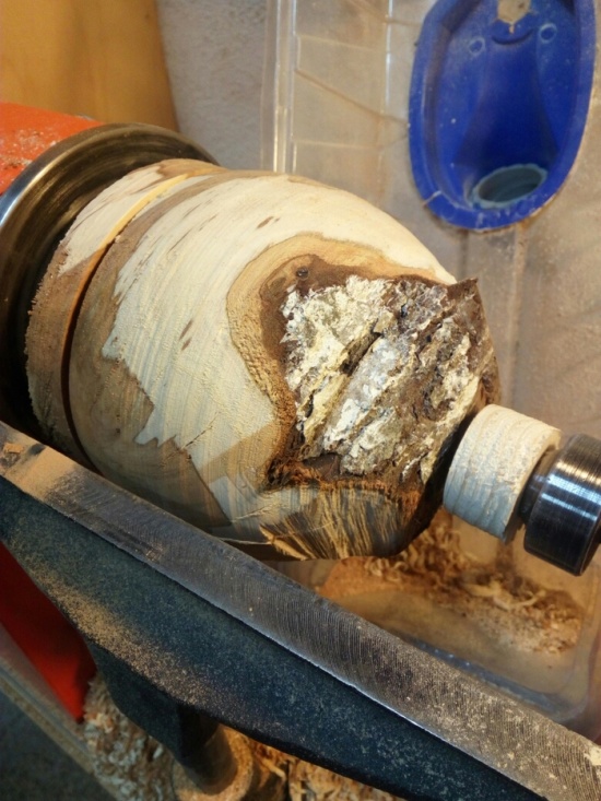 Tree Carving (6 pics)