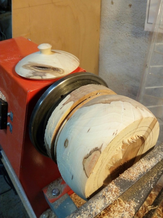 Tree Carving (6 pics)