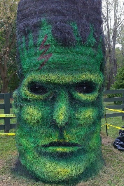 Acid Picdump (93 pics)