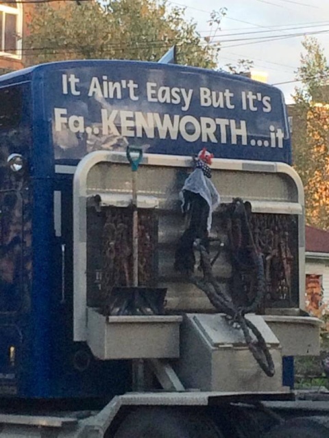 Acid Picdump (93 pics)