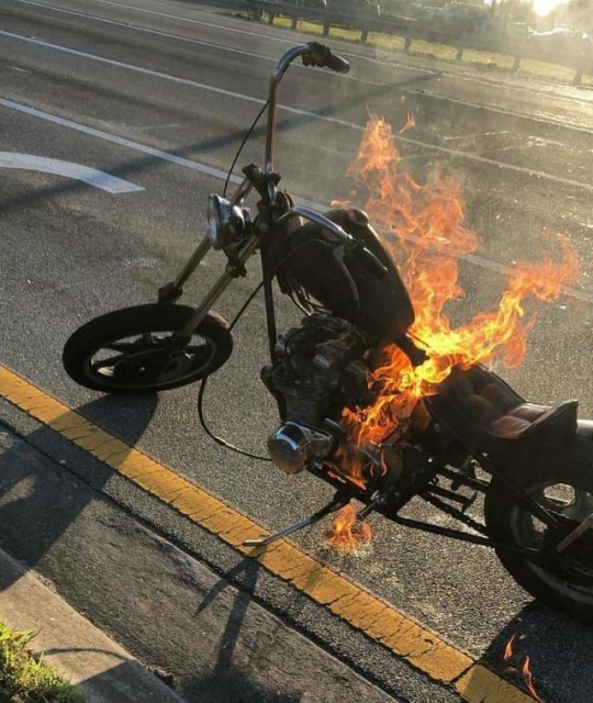 Acid Picdump (93 pics)