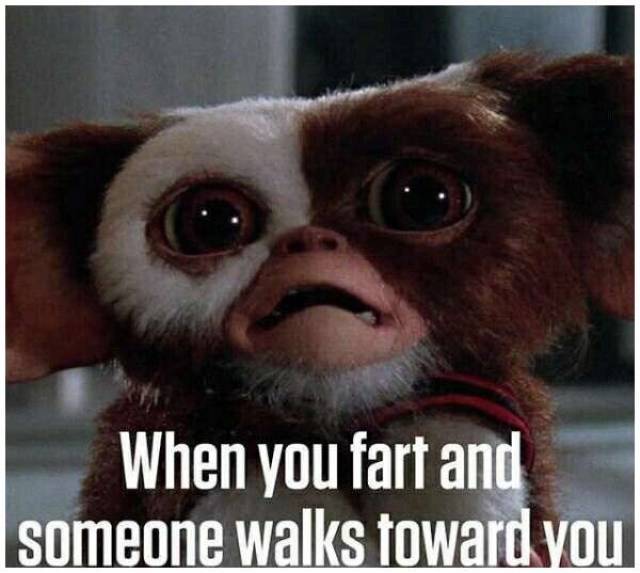 Acid Picdump (93 pics)