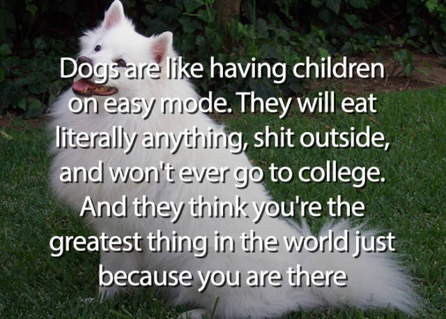 Interesting Thoughts (49 pics)