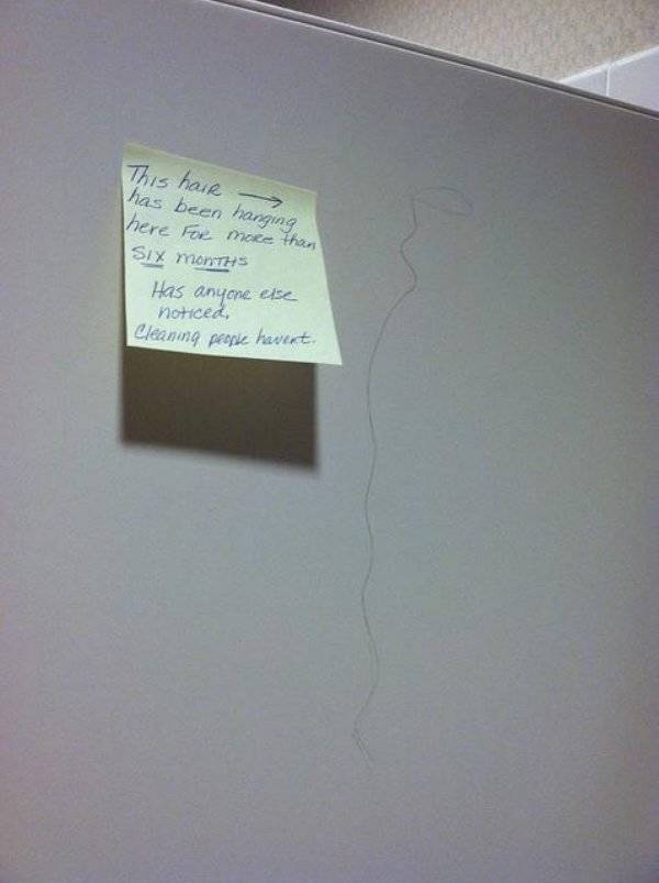 Bathroom Etiquette (22 pics)