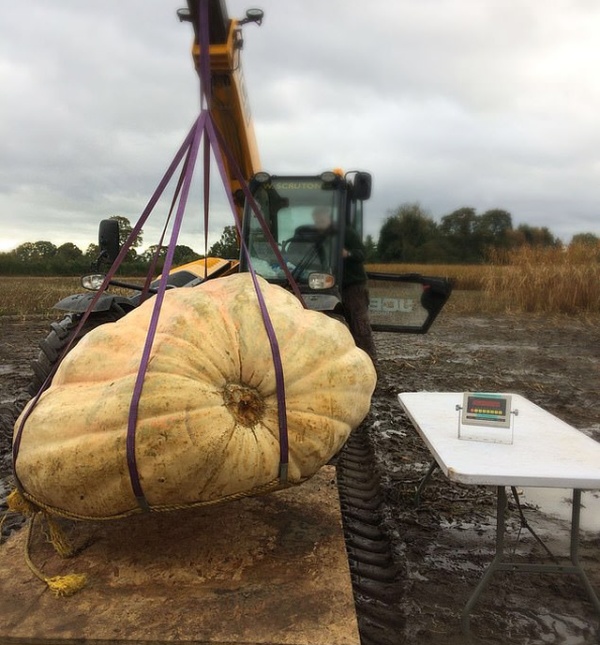 Giant Skull Made Out Of Britain’s Biggest Pumpkin (4 pics)