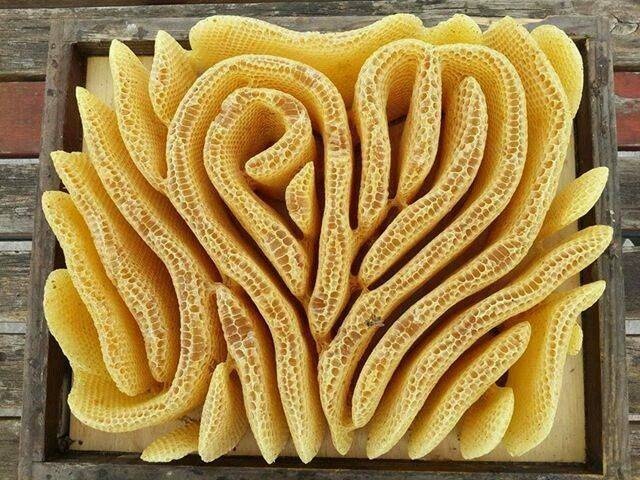 Acid Picdump (121 pics)