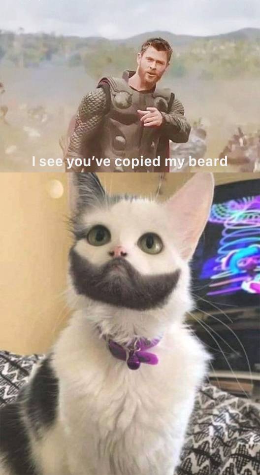 Acid Picdump (121 pics)