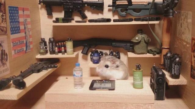 Acid Picdump (121 pics)