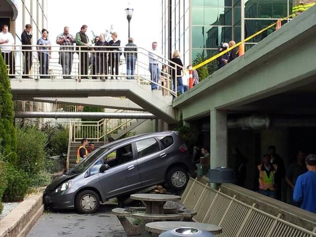 Acid Picdump (121 pics)