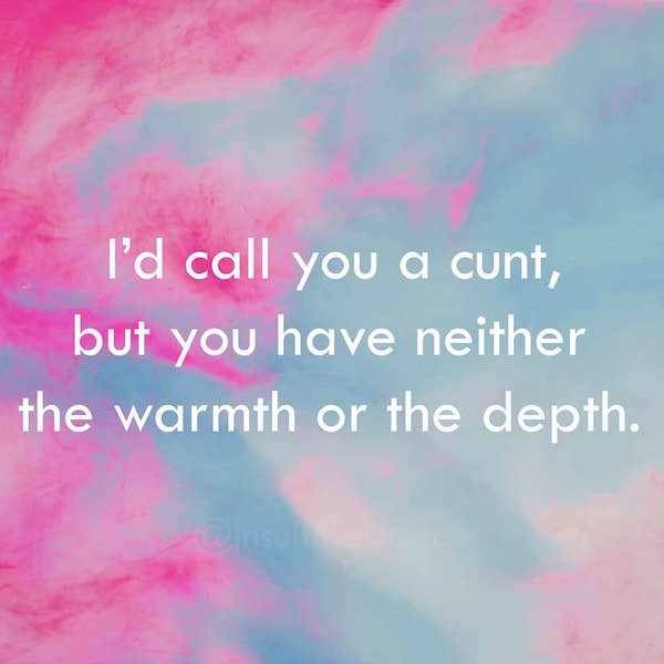 Insults To Win Just About Any Argument (18 pics)