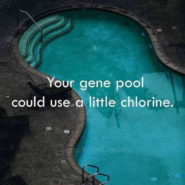 Insults To Win Just About Any Argument (18 pics)