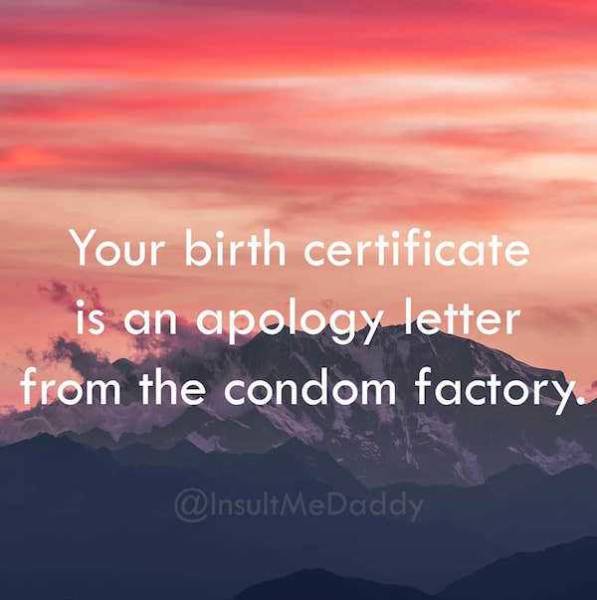 Insults To Win Just About Any Argument (18 pics)