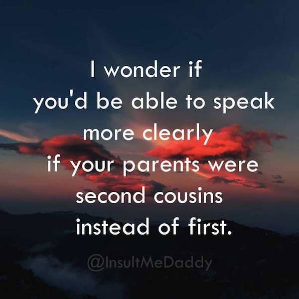 Insults To Win Just About Any Argument (18 pics)