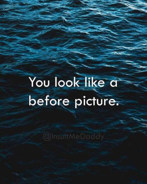 Insults To Win Just About Any Argument (18 pics)